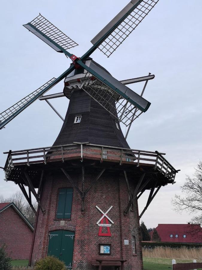 Kleinaberfein An Der Nordseekueste Schweindorf Dış mekan fotoğraf