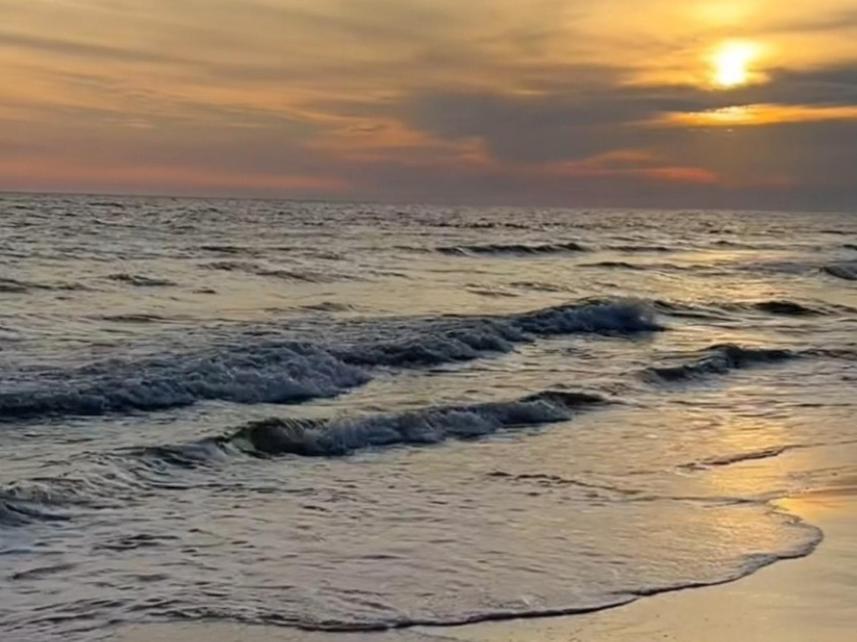 Kleinaberfein An Der Nordseekueste Schweindorf Dış mekan fotoğraf